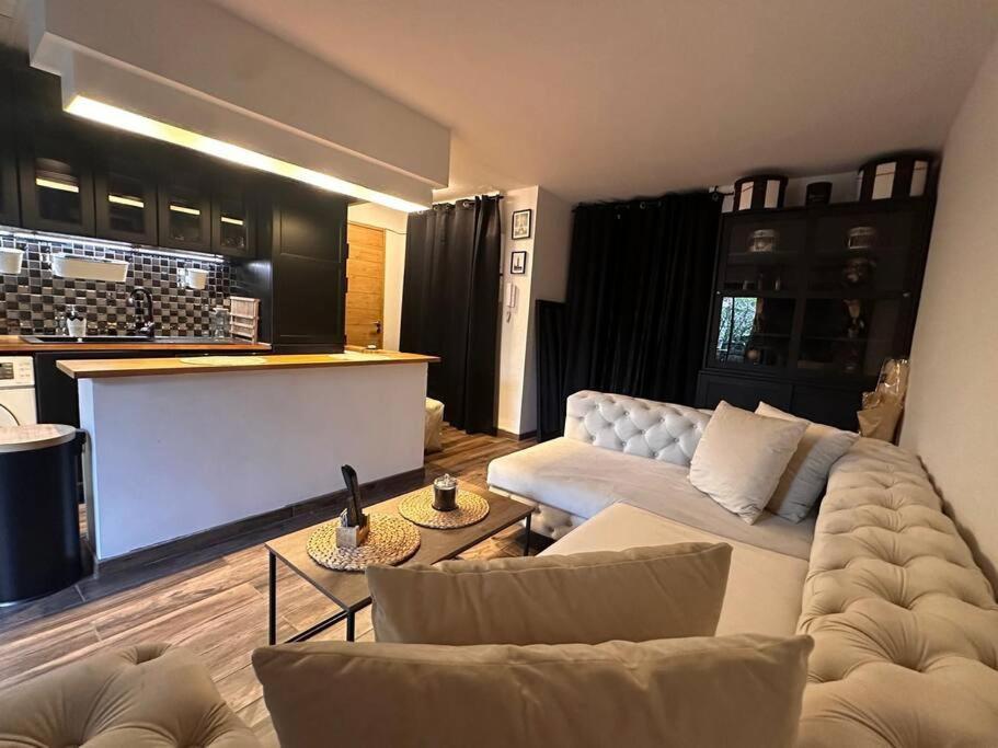 Apartamento Jardin Des Plantes Parking Securise Terrasse Et Ascenseur Toulouse Exterior foto